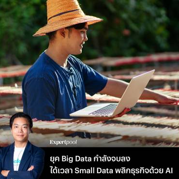 Small data sme looloo