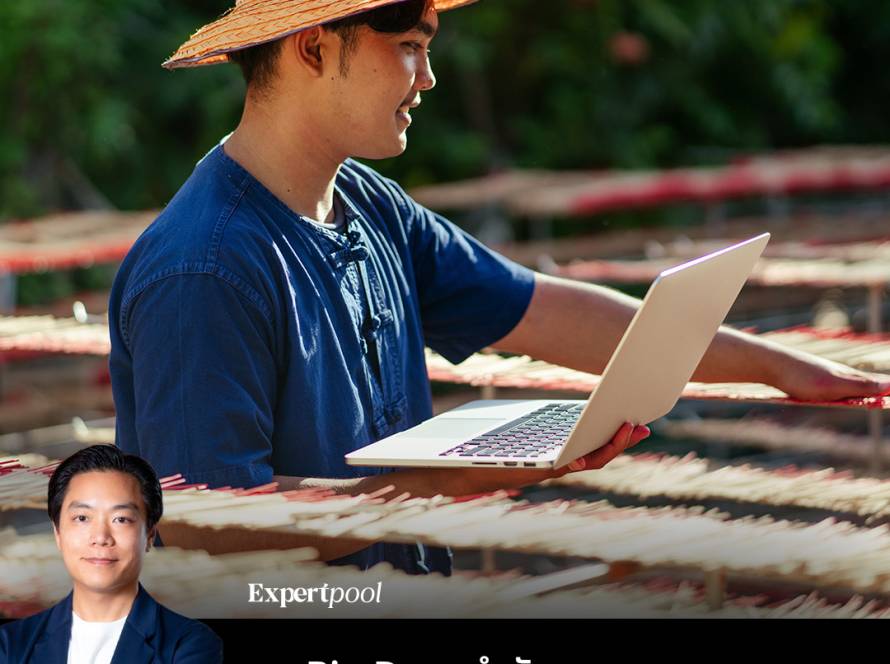 Small data sme looloo